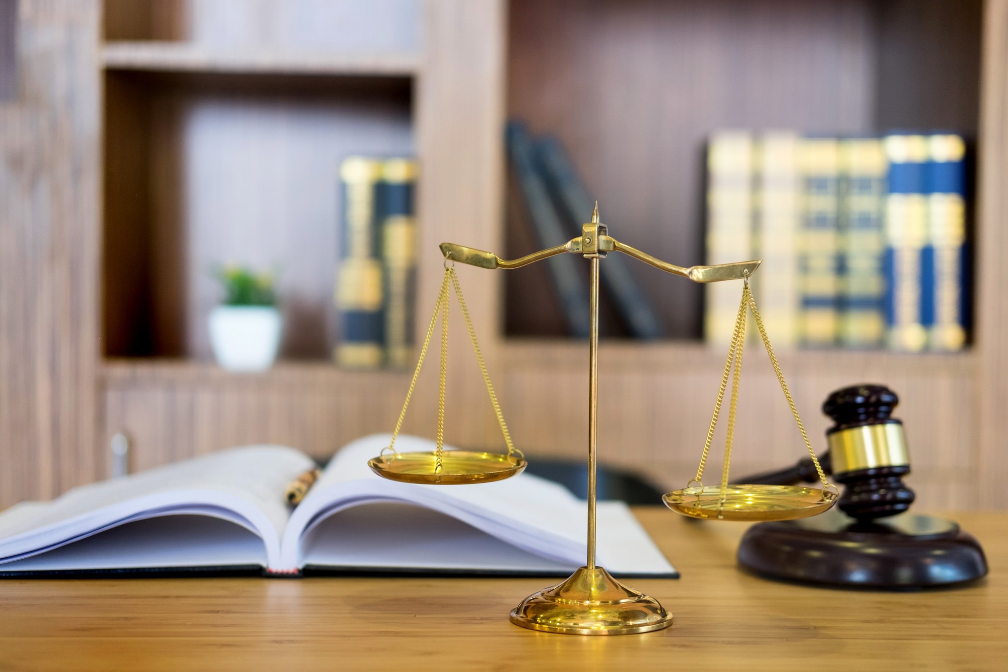 abogados 9
